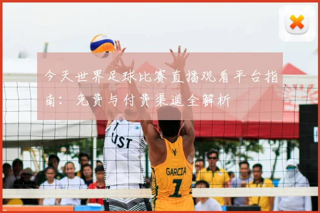 今天世界足球比赛直播观看平台指南：免费与付费渠道全解析